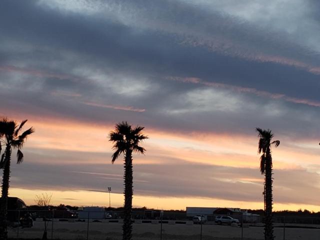 Rivercity Rv Park New Braunfels Buitenkant foto